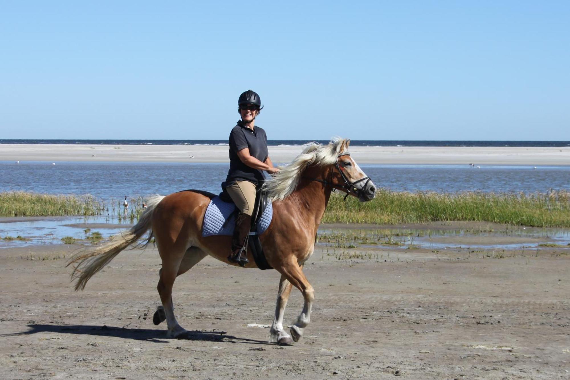 Naar Zee Op Ameland Buren  Εξωτερικό φωτογραφία